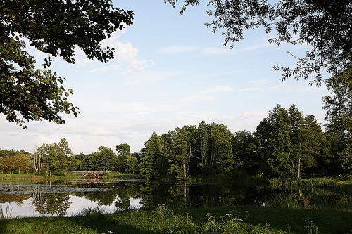 Białowieża National Park